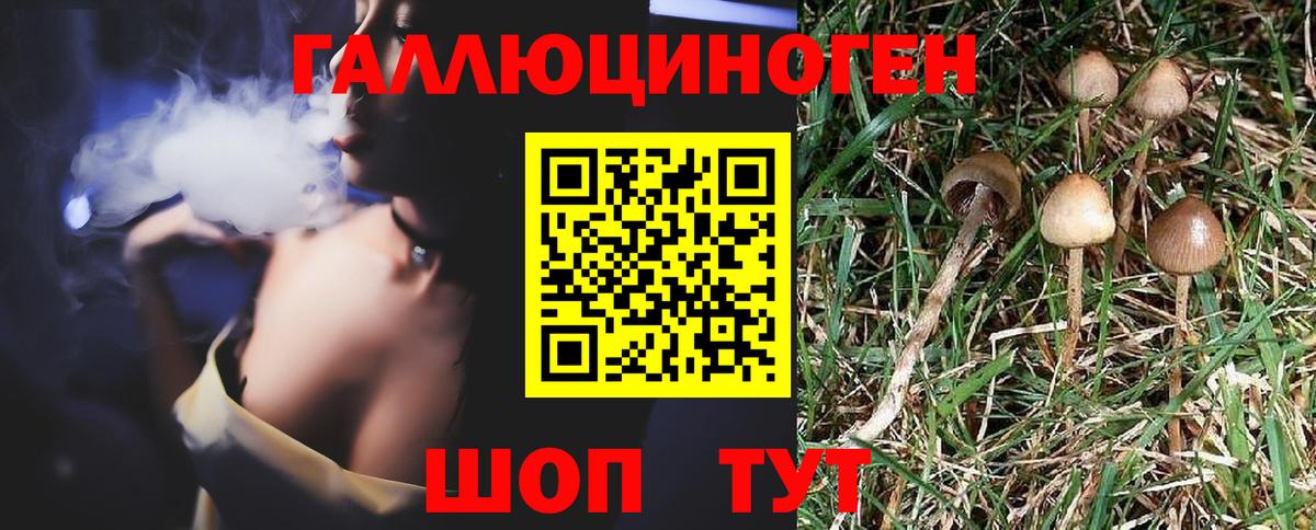 Псилоцибиновые грибы GOLDEN TEACHER Калининград
