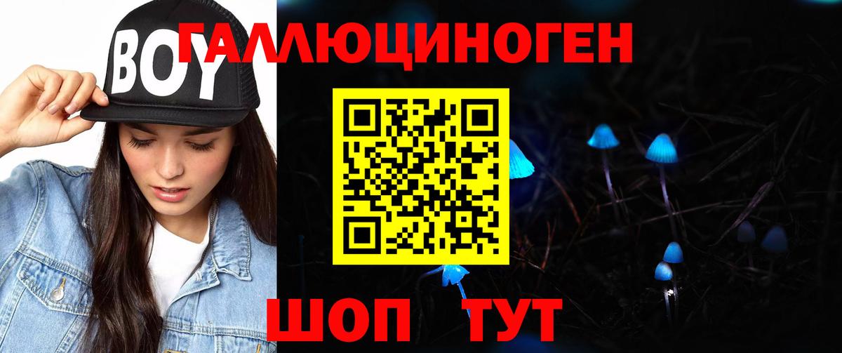 Калининград  Галлюциногенные грибы Cubensis  Вход с VPN 